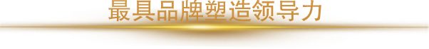 2018年度最具品牌塑造領(lǐng)導力人物獎